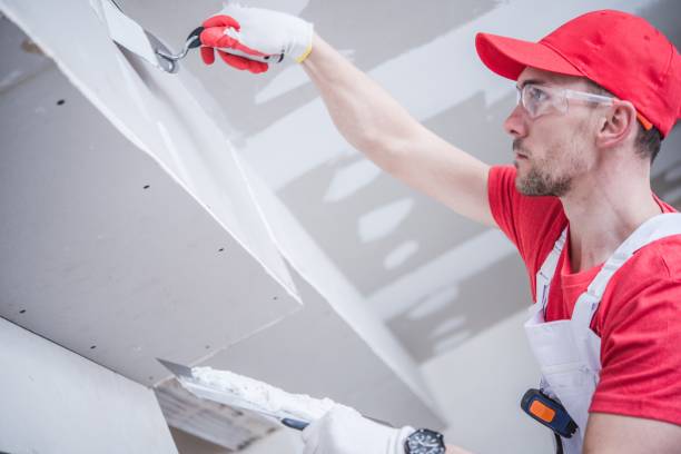 Best Fire-Damaged Drywall Repair  in Conashaugh Lakes, PA